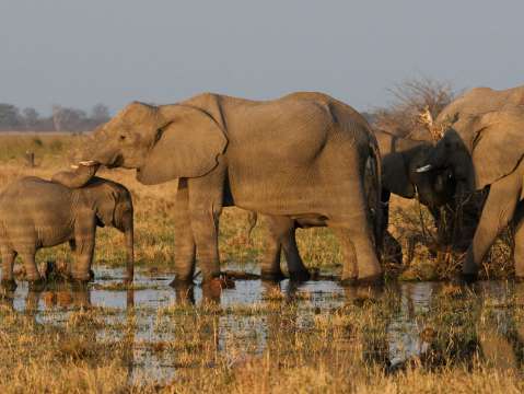 Machu Picchu Discovery